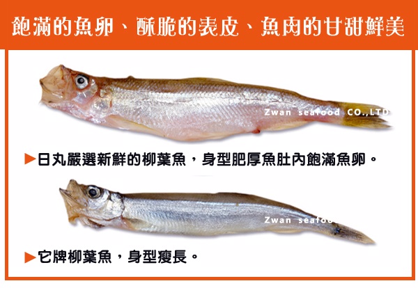 日丸水產 爆卵加拿大柳葉魚 500g 10 份 Pchome 24h購物