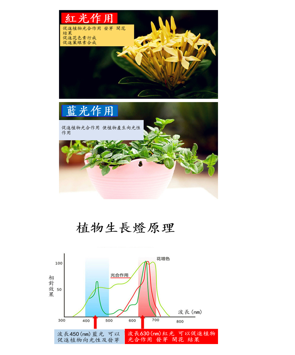 8w 290顆led植物生長燈泡 E27螺口 Pchome 24h購物