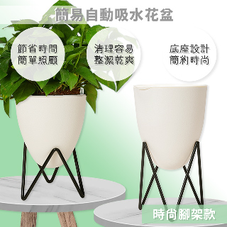 花盆 器皿 Pchome 24h購物