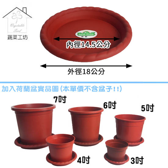 6吋荷蘭盆專用水盤 硬質波紋 2個 組 Pchome 24h購物
