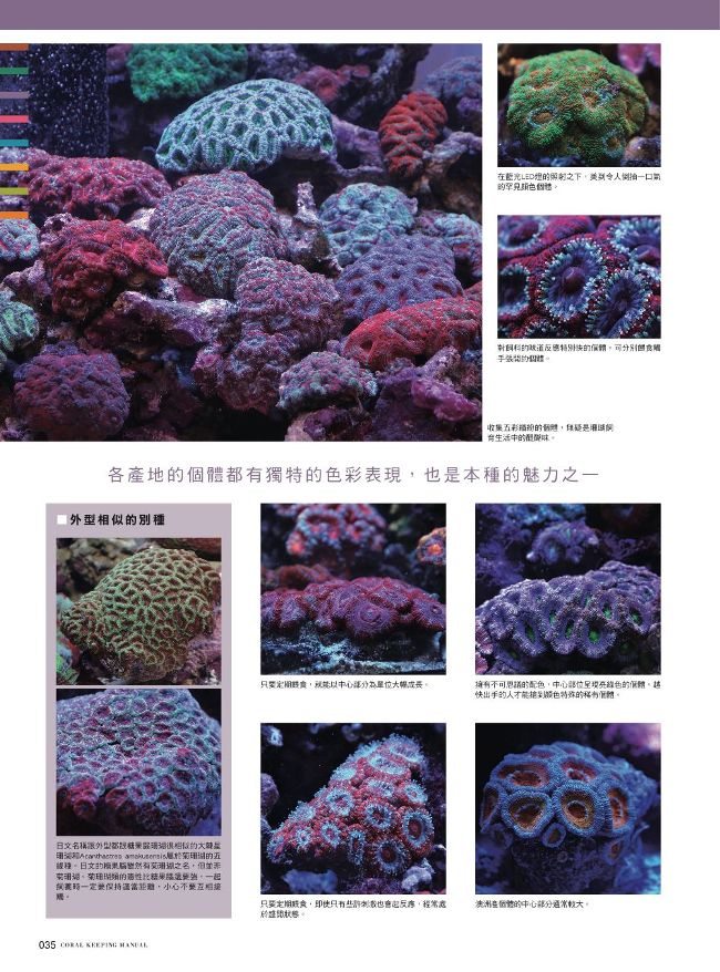 給新手的珊瑚飼育指南 Pchome 24h書店 給新手的珊瑚飼育指南 Pchome 24h書店