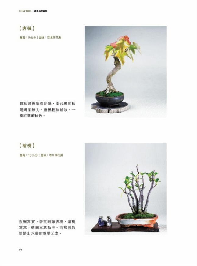 迷你盆栽習作 掌上天地寬 縮擬於豆缽中的四季風景 17年暢銷改版 Pchome 24h書店