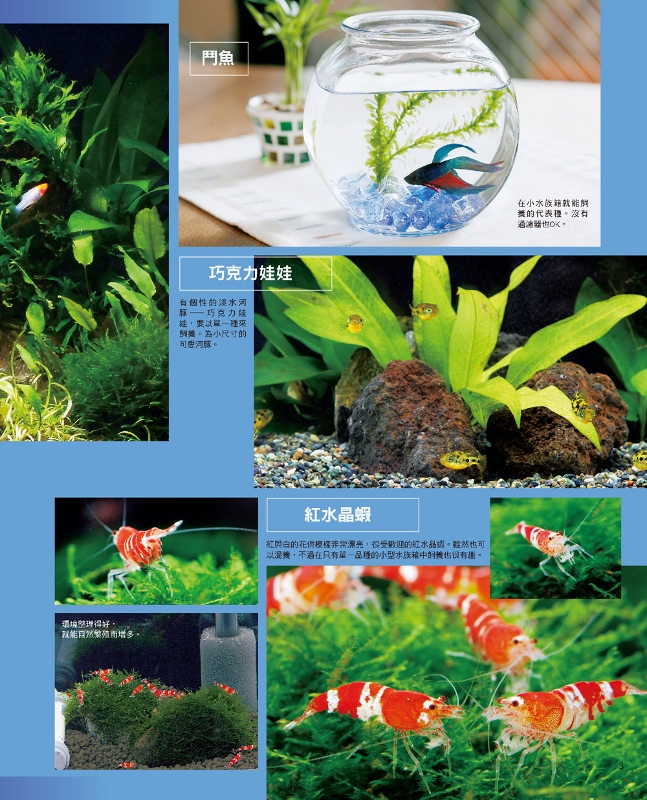 熱帶魚與水草的飼育法 暢銷版 Pchome 24h書店