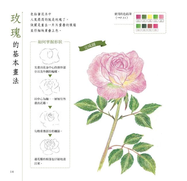 花卉草木的綺麗世界 Pchome 24h書店