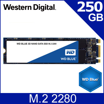 WD SSD 250GB M.2 SATA 3D NAND固態硬碟(藍標)